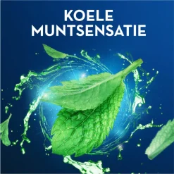 Online 12x Flosdraad Pro-Expert Advanced 50 meter Flossen & Ragen