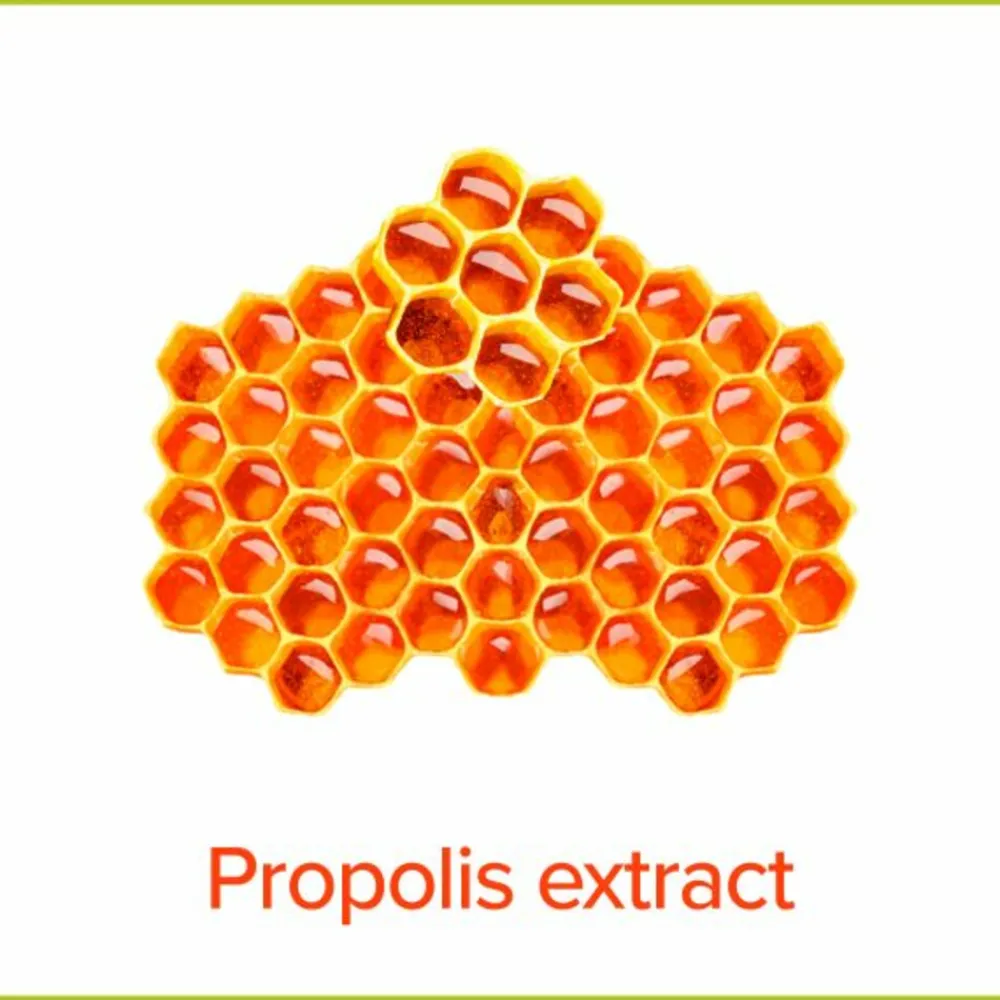 6x Handzeep Hygiëne Plus Family 300 ml^Palmolive New