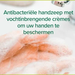 6x Handzeep Hygiëne Plus Family 300 ml^Palmolive New