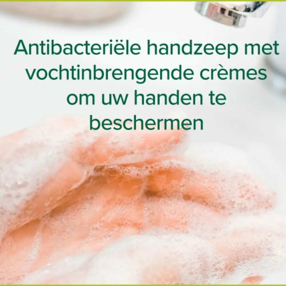 6x Handzeep Hygiëne Plus Family 300 ml^Palmolive New