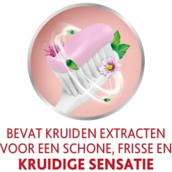 Outlet 3x Tandpasta Herbal Twist 75 ml Spoelen & Poetsen