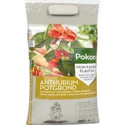 5x RHP Anthurium Potgrond Anthurium 5 liter^Pokon