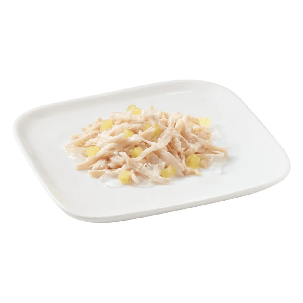 Hondenvoer<Schesir 10x Hondenvoer Kip - Ananas 150 gr