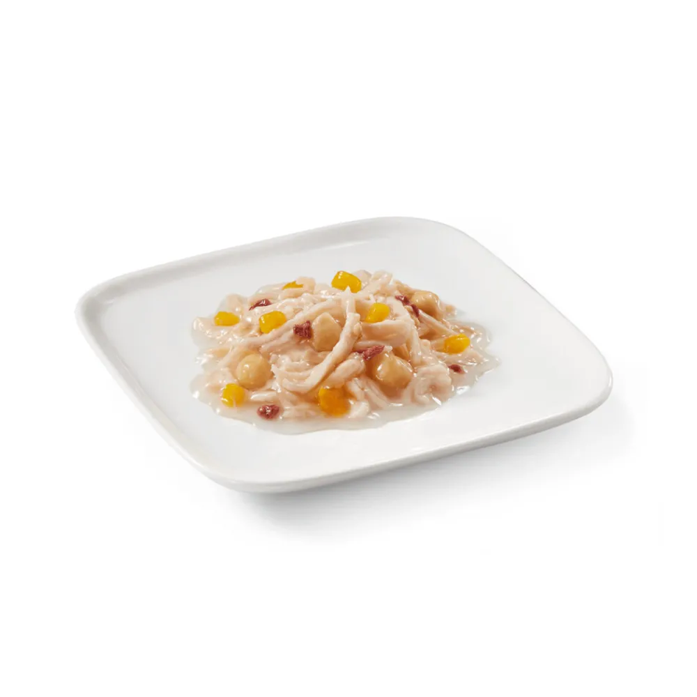 Hondenvoer<Schesir 14x Hondenvoer Kip Lam in Saus 85 gr