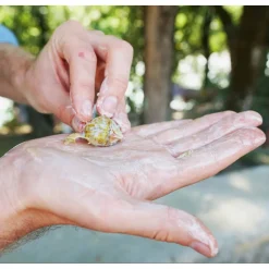 Best 6x Superschillen wasmiddel Gewoon neutraal 30 Wasbeurten 150 gr Wasmiddel