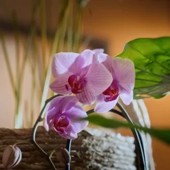 New 6x Of Wellness Release Gezichtsmasker Time To De-Stress 23 ml Masker