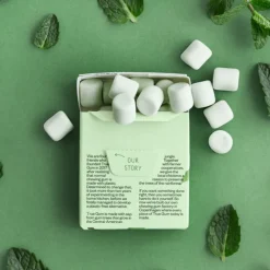 24x Mint 21 gr^True Gum Outlet