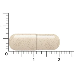 Rustgevend & Slapen<Vitakruid 2x Ashwagandha Ksm 90 capsules