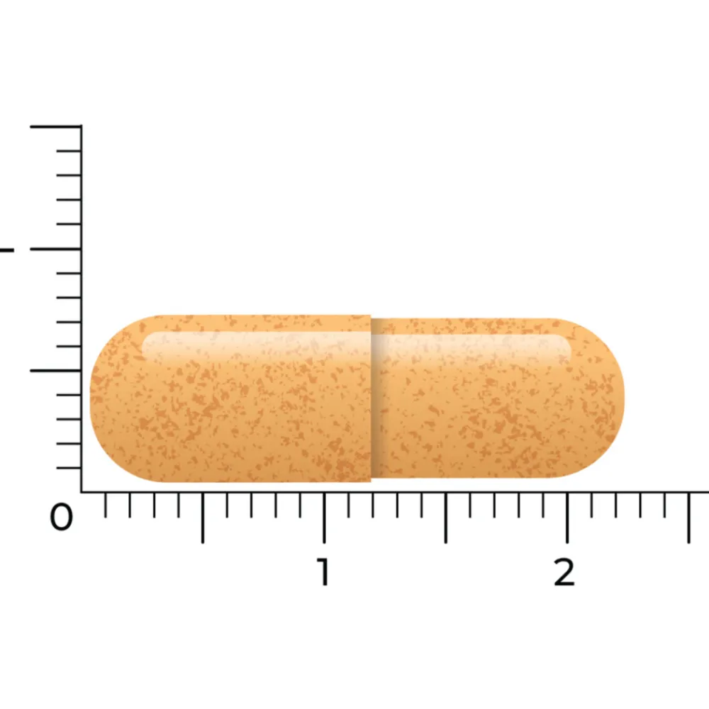 New 2x B-Complex Actief Zonder B6 90 vegacapsules Vitaminen