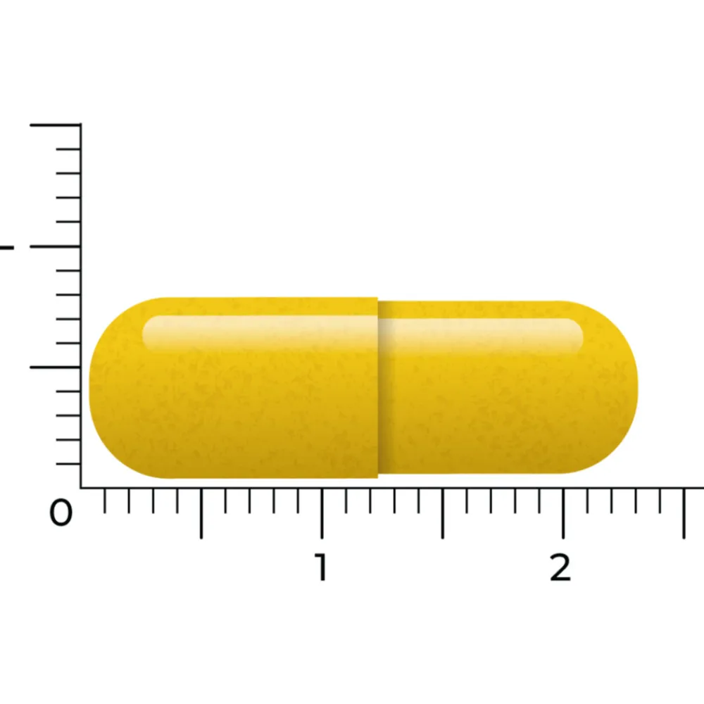 2x Berberine 500 Rebersa 60 vegacapsules^Vitakruid Online