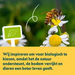 Hondenvoer<Yarrah 12x Bio Hondenvoer Paté Rund & Kip 150 gr