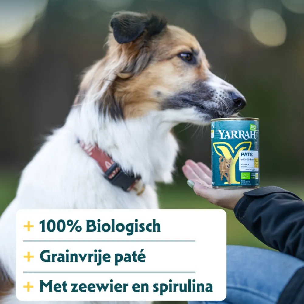 Hondenvoer<Yarrah 12x Bio Hondenvoer Paté Kip 400 gr