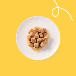 Kattenvoer<Yarrah 12x Bio Kattenvoer Chunks Kip 405 gr