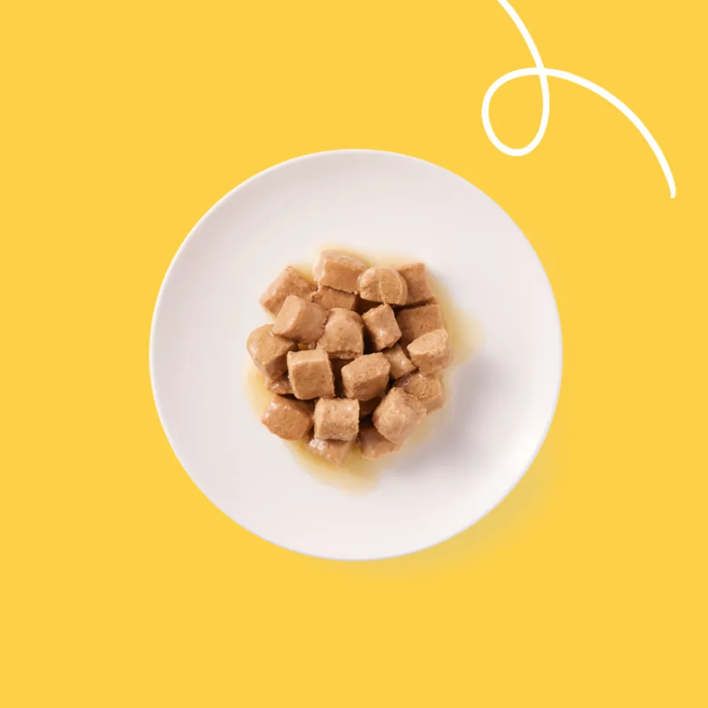 Kattenvoer<Yarrah 12x Bio Kattenvoer Chunks Kip 405 gr