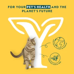 Kattenvoer<Yarrah 12x Bio Kattenvoer Chunks Kip 405 gr