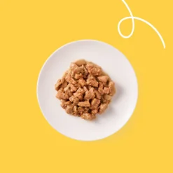 Discount 16x Bio Kattenvoer Chunks Kip & Kalkoen 100 gr Kattenvoer