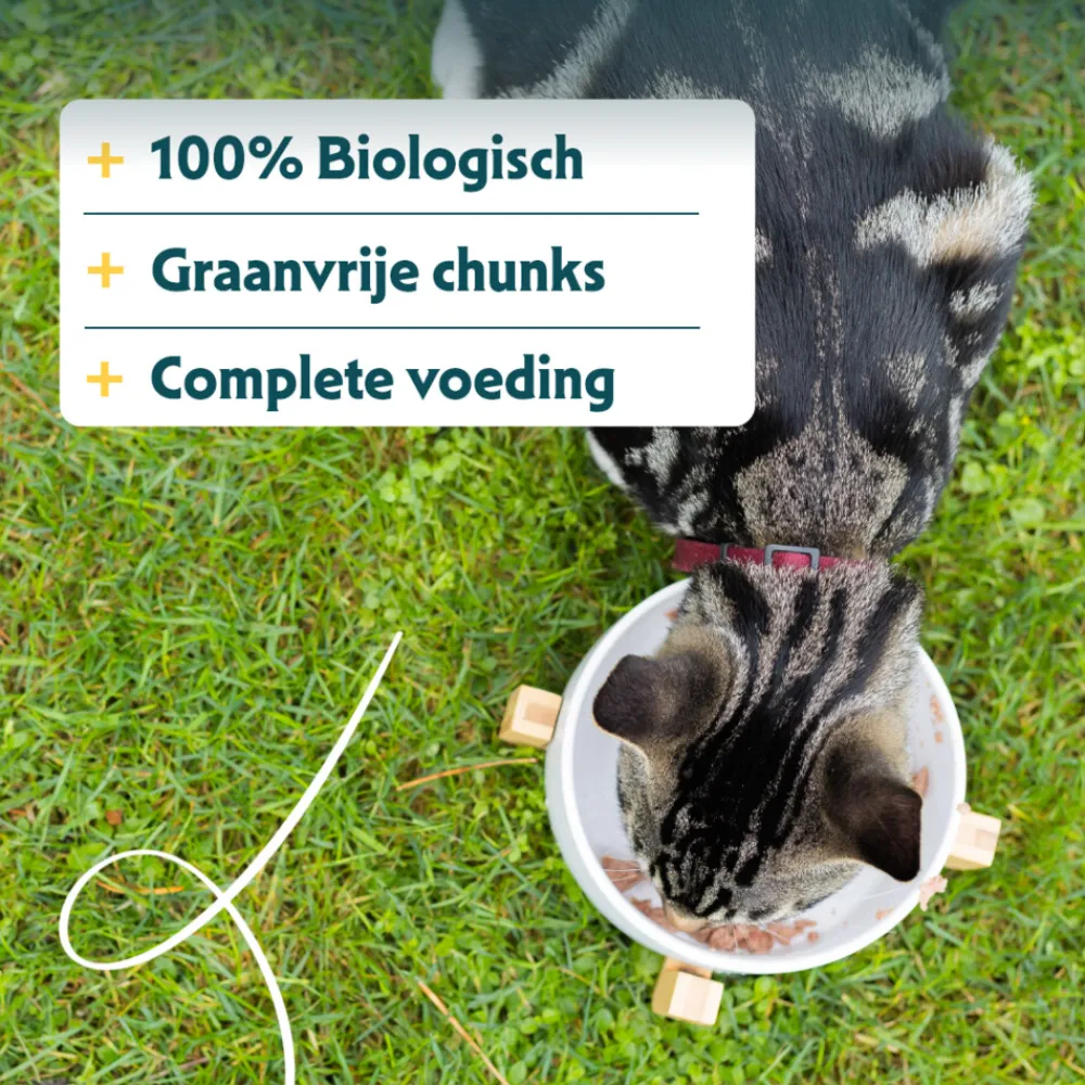 Discount 16x Bio Kattenvoer Chunks Kip & Kalkoen 100 gr Kattenvoer