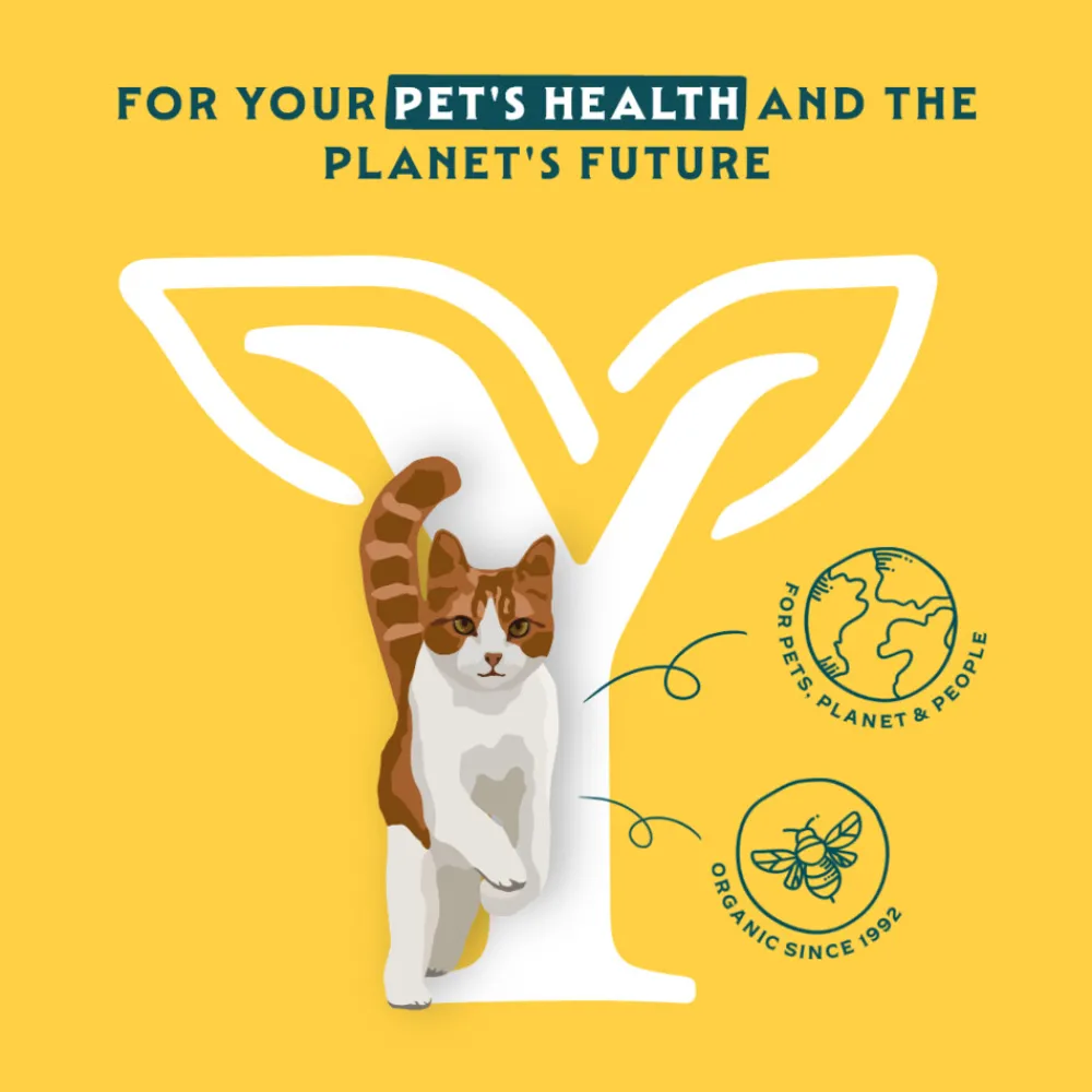 Discount 16x Bio Kattenvoer Chunks Kip & Kalkoen 100 gr Kattenvoer