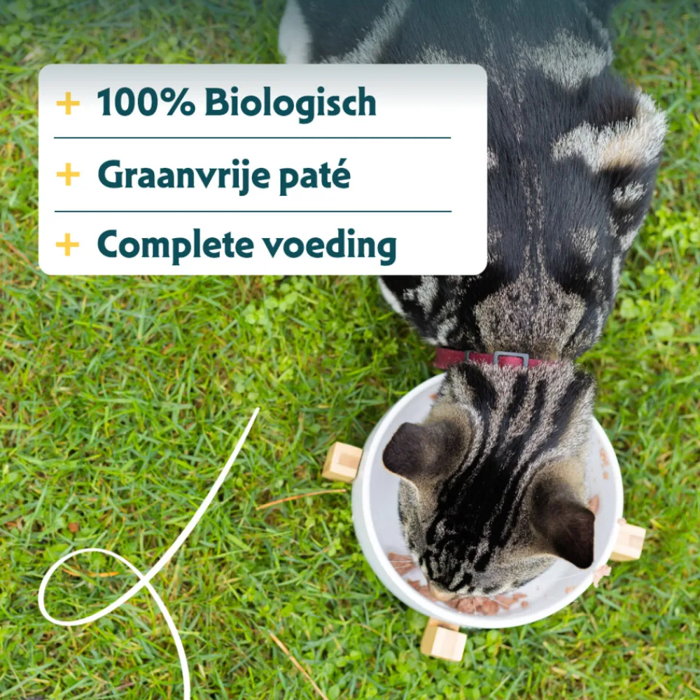 16x Bio Kattenvoer Paté Zalm 100 gr^Yarrah