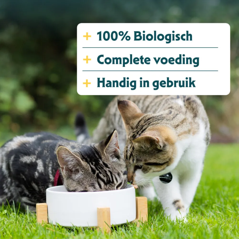14x Bio Kattenvoer Rund 85 gr Kattenvoer