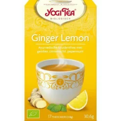 Best 3x Ginger Lemon Biologisch 17 stuks Thee