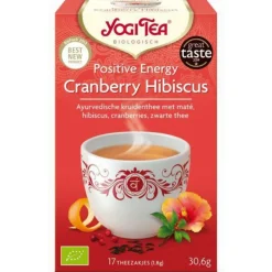 Outlet 3x Positive Energy Biologisch 17 stuks Thee