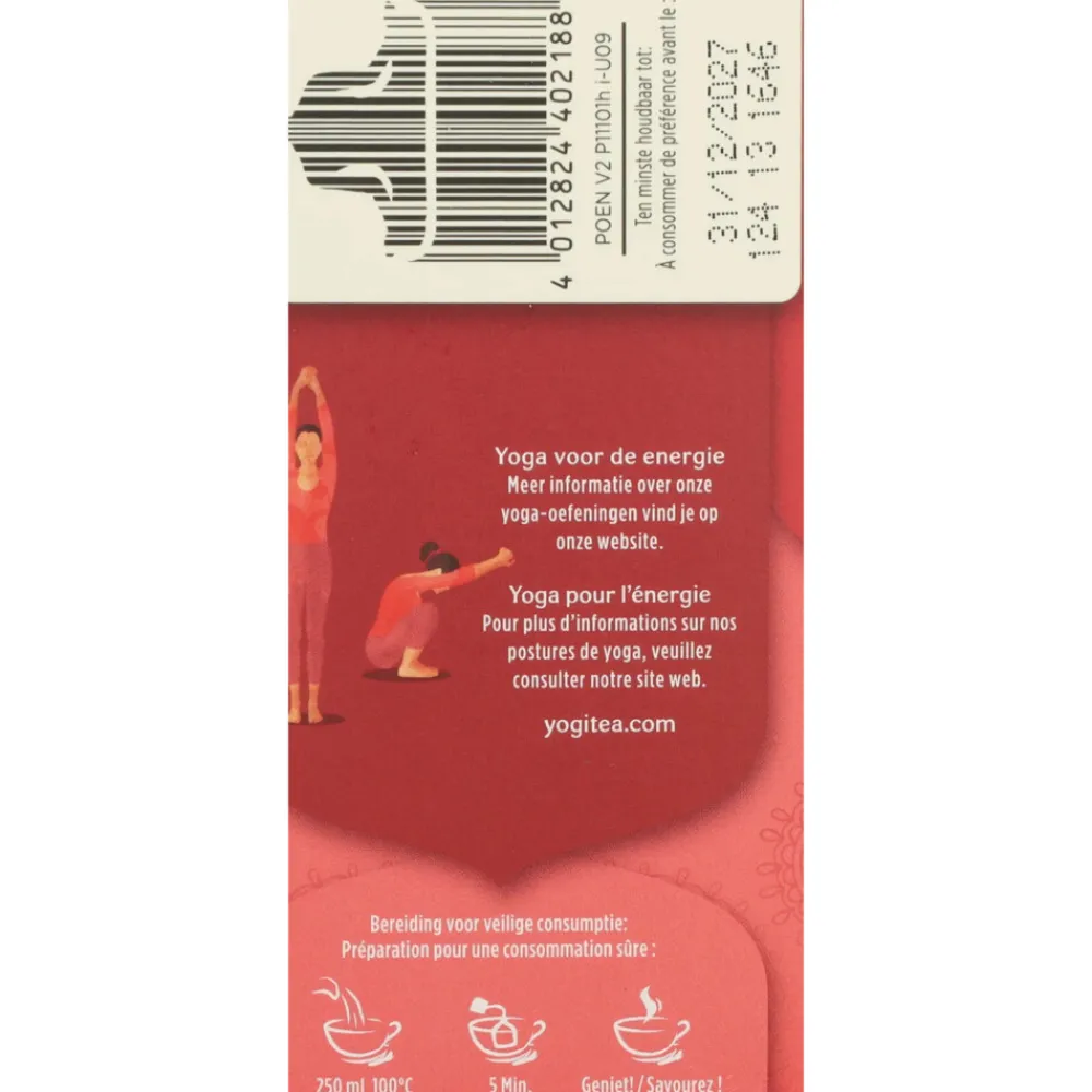 Outlet 3x Positive Energy Biologisch 17 stuks Thee