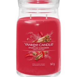 Geurkaars Large Jar Sparkling Cinnamon 567 gr^Yankee Candle