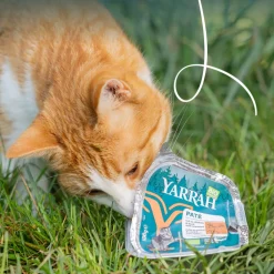 Bio Alu Paté Grainfree Kattenvoer Nat Kip & Eend 100 gr^Yarrah Hot
