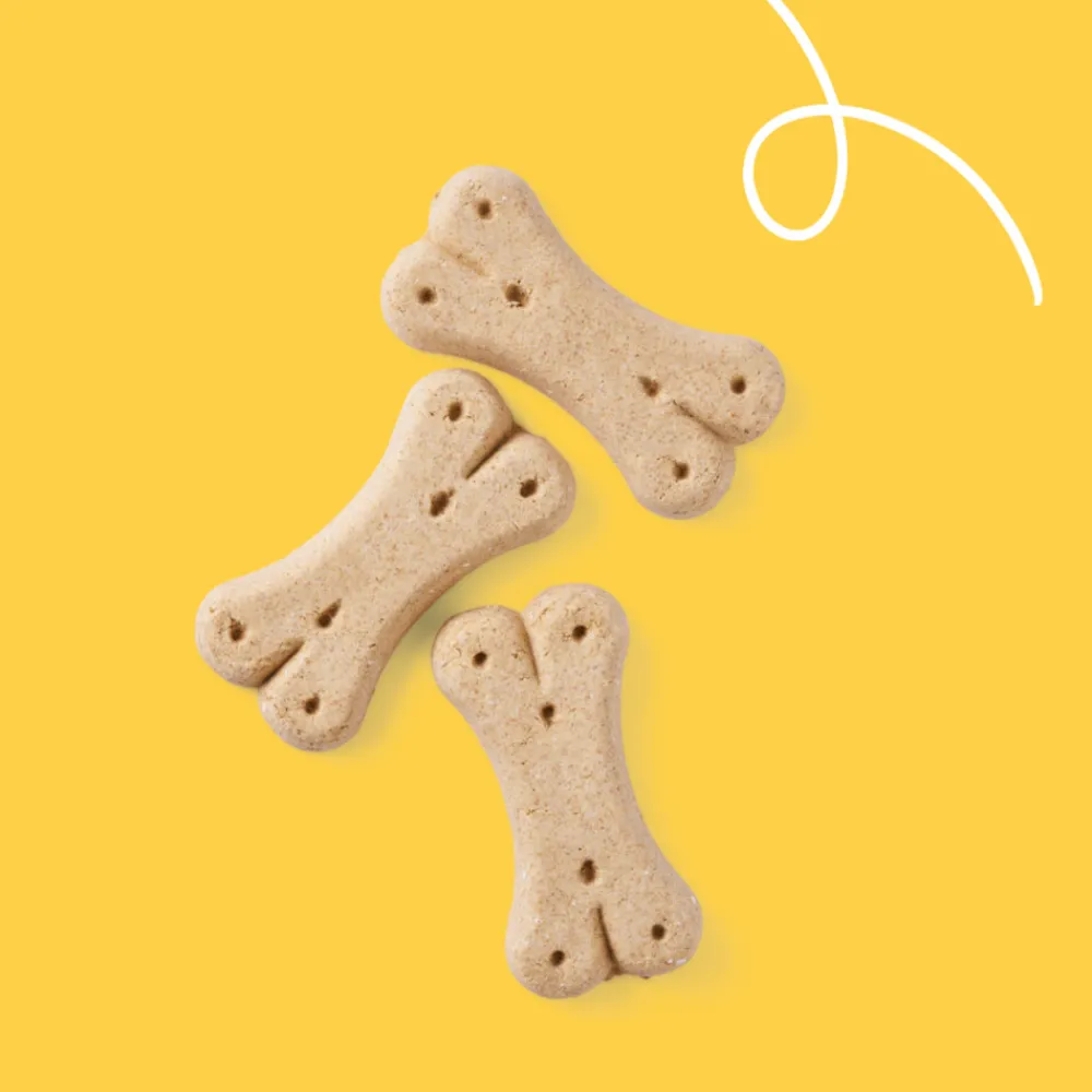 Bio Hondenkoekjes Vegetarisch 500 gr^Yarrah Online