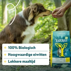 Hondenvoer<Yarrah Bio Hondenvoer Adult Kip 2 kg