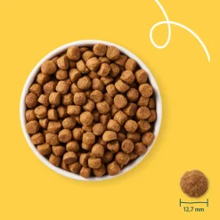 Hondenvoer<Yarrah Bio Hondenvoer Adult Kip 10 kg