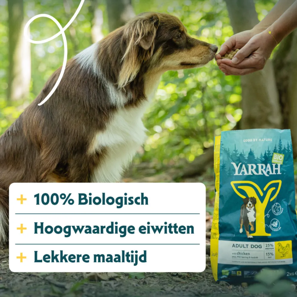 Hondenvoer<Yarrah Bio Hondenvoer Adult Kip 10 kg