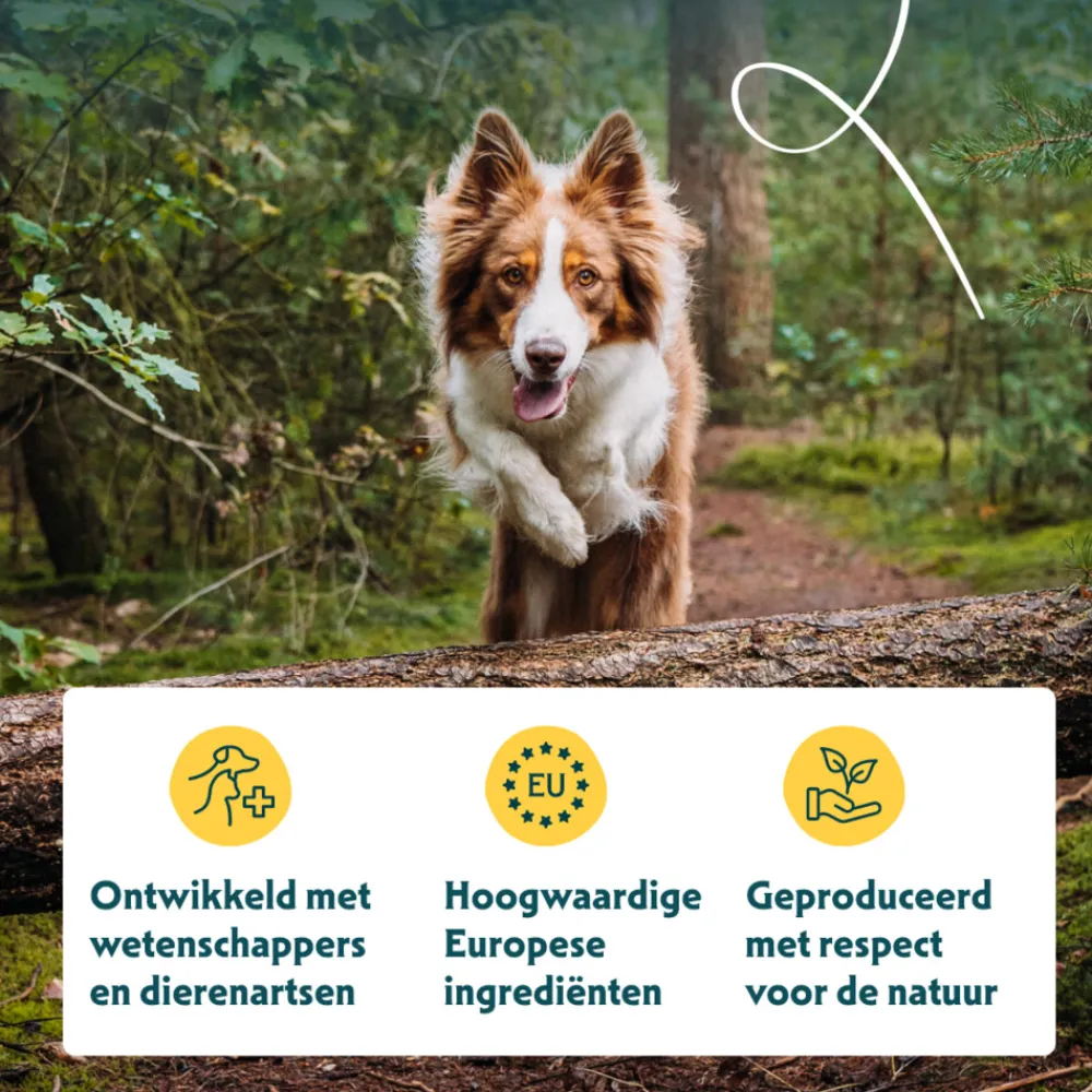 Hondenvoer<Yarrah Bio Hondenvoer Adult Kip 10 kg