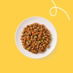 Online Bio Hondenvoer Chunks Vegetarisch 150 gr Hondenvoer