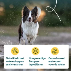 Online Bio Hondenvoer Chunks Vegetarisch 150 gr Hondenvoer