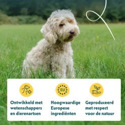 Hondenvoer<Yarrah Bio Hondenvoer Graanvrij Kip & Vis 2 kg