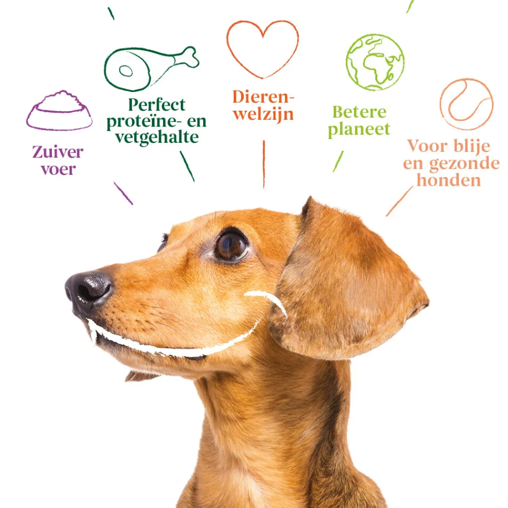 Hondenvoer<Yarrah Bio Hondenvoer Multipack Paté Graanvrij Kip & Kalkoen 6 x 150 gr