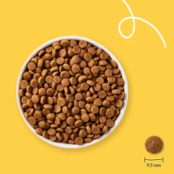 New Bio Hondenvoer Puppy Kip 2 kg Hondenvoer