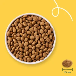 Bio Hondenvoer Senior Kip 2 kg Hondenvoer