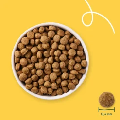 Discount Bio Hondenvoer Sensitive Adult Kip & Rijst 2 kg Hondenvoer