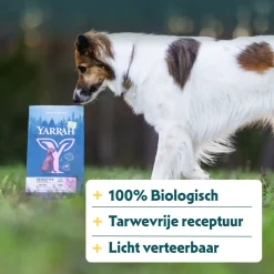 Discount Bio Hondenvoer Sensitive Adult Kip & Rijst 2 kg Hondenvoer