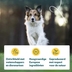 Discount Bio Hondenvoer Sensitive Adult Kip & Rijst 2 kg Hondenvoer