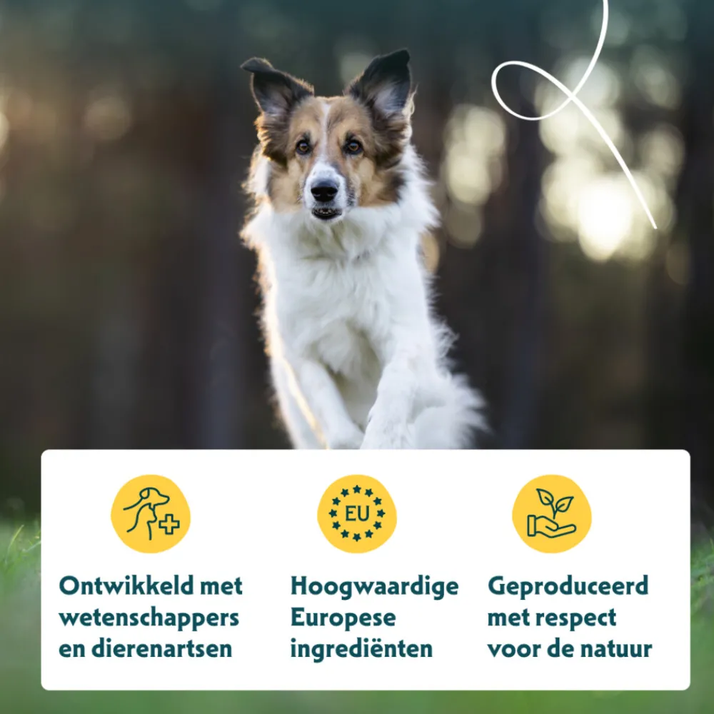 Discount Bio Hondenvoer Sensitive Adult Kip & Rijst 2 kg Hondenvoer