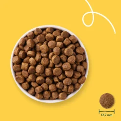 Bio Hondenvoer Senior Kip 10 kg^Yarrah Outlet