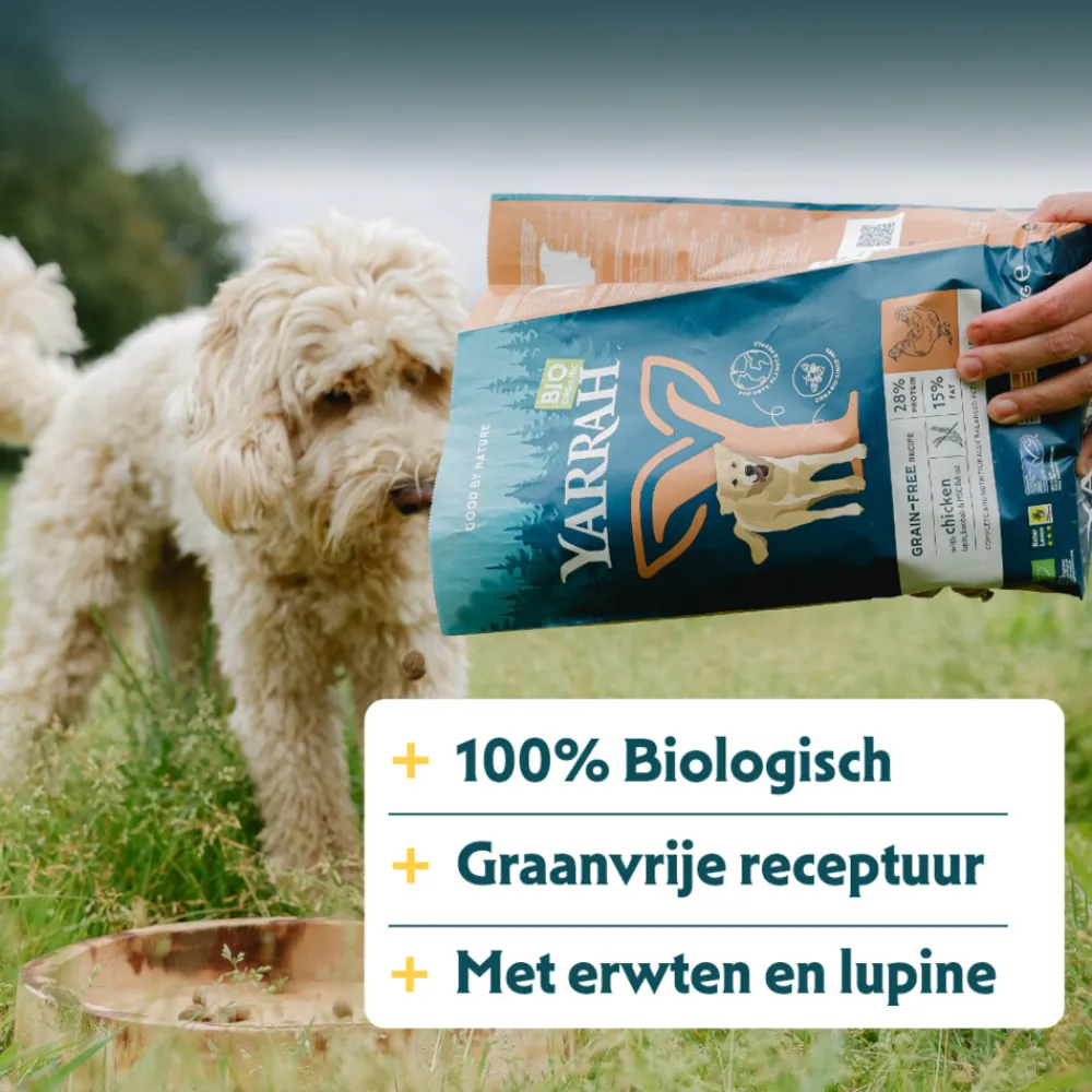 Bio Hondenvoer Senior Kip 10 kg^Yarrah Outlet