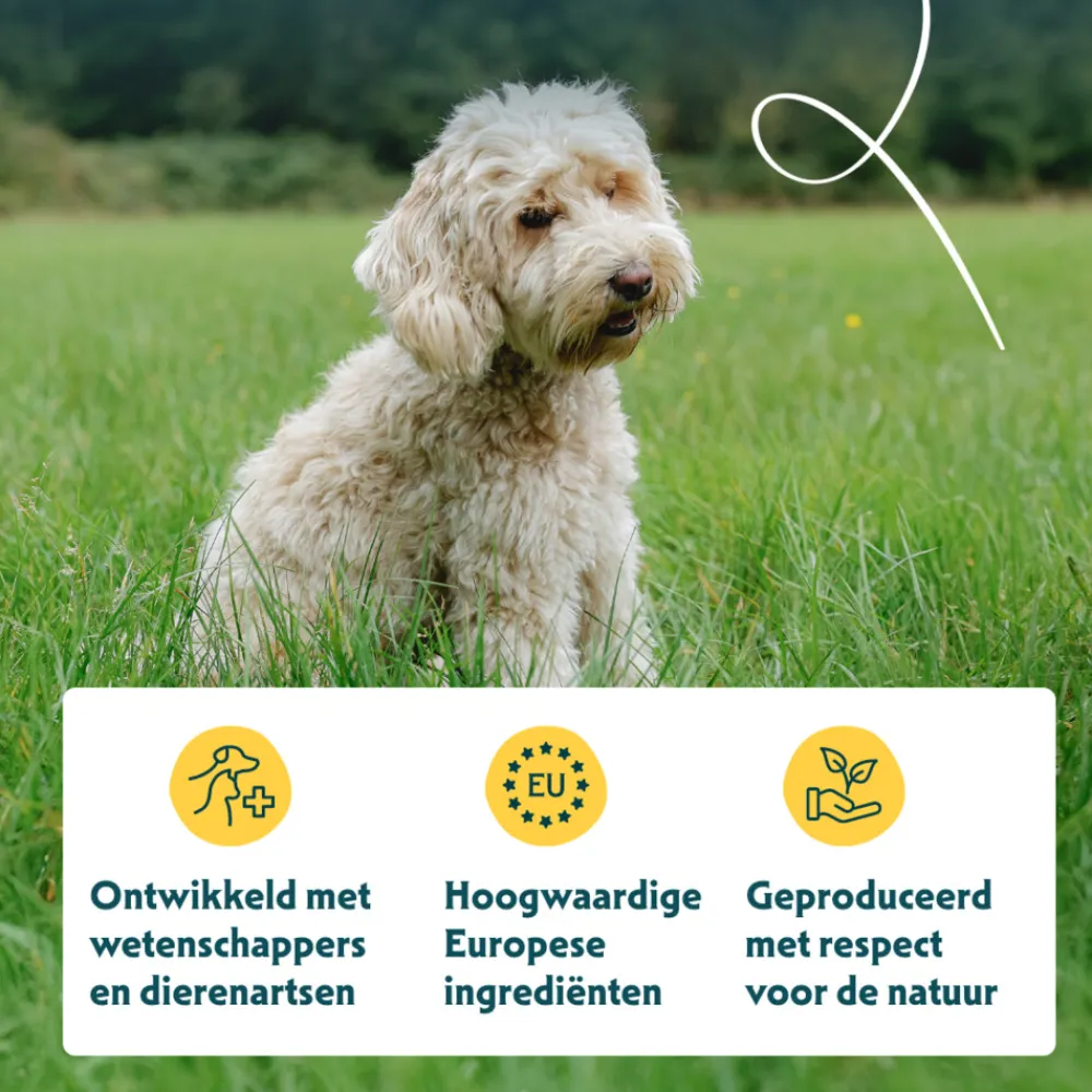 Bio Hondenvoer Senior Kip 10 kg^Yarrah Outlet