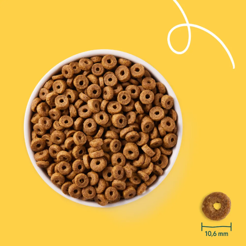 Sale Bio Kattenvoer Adult Kip 2,4 kg Kattenvoer