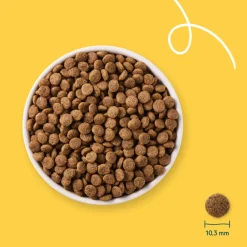 Bio Kattenvoer Graanvrij Kip & Vis 2,4 kg^Yarrah Best