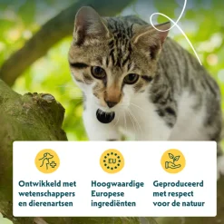 Bio Kattenvoer Graanvrij Kip & Vis 2,4 kg^Yarrah Best